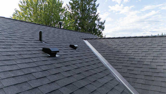 A close-up view of a dark gray asphalt shingle roof on a house, featuring roof vents and a clean roof valley, set against a background of green trees and a partly cloudy blue sky.